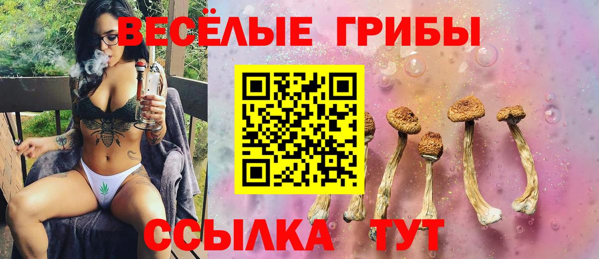 Псилоцибиновые грибы ЛСД Можга